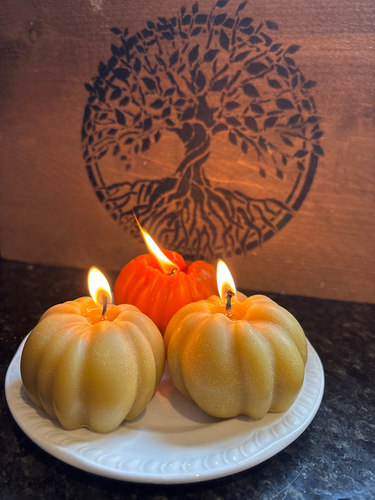 Beeswax Pumpkin Shaped Fall Autumn Candles