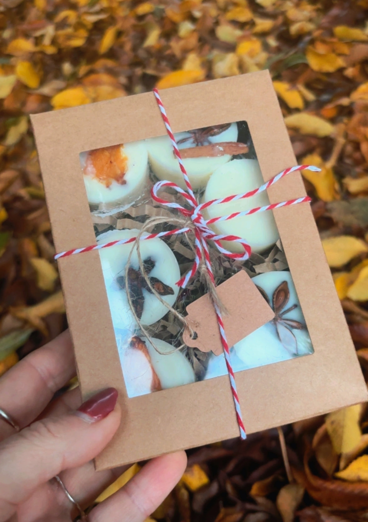 Christmas Tree Scented Wax Melts with Cinnamon Bark, Star Anise & Orange – Limited Edition